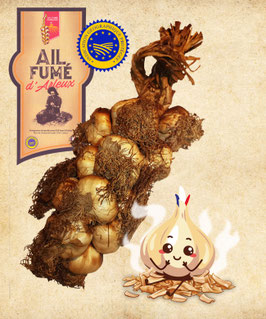 Knoblauchzopf – 13 Knollen