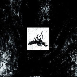 MARASME  "De llums i ombres”  - Vinilo  LP  (2014)