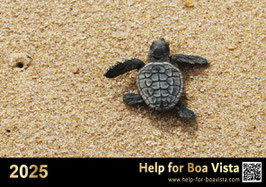 FOTO - KALENDER 2025 BOA VISTA