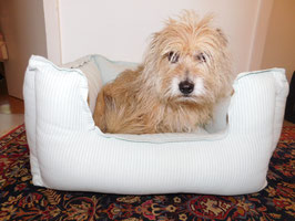 Hundebett   "FINE"