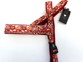 Harness SET "red Sculls"