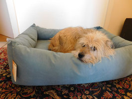 Hundebett "PULMACELL" suppport soft