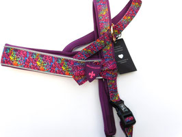 Harness SET "Grazy"