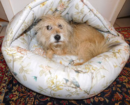 Hundebett  "Muschel"