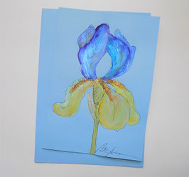 Karte "Iris (blau-gelb)"