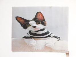 Dünne Kühlmatte "Katze Fredi"
