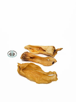 Hirschohren ohne Fell