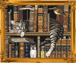 Котик и книги