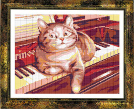 Котик на рояле