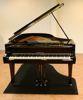 Pianocarpet, Flügel bis 186 cm Länge