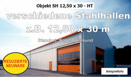 Stahlhalle 12,50 x 30 m - Reduzierte Neuware - HT