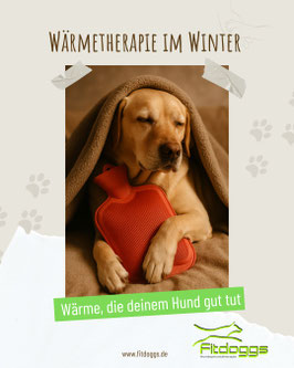 Freebie: Wärmetherapie im Winter - Wärme, die deinem Hund gut tut