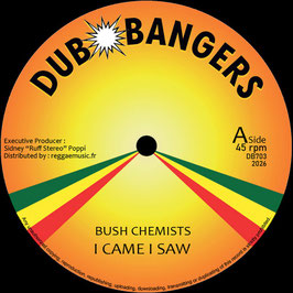 Bush Chemists - I Came I Saw | 7" Dub Bangers