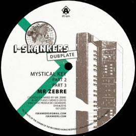 Mr Zebre - Mystical Key | 12" I-Skankers