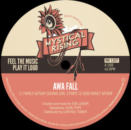 Awa Fall - Family Affair | 12" Mystical Rising
