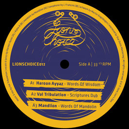 Haroon Ayyaz - Words Of Wisdom | 12" Lions Den
