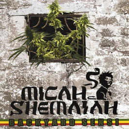 Micah Shemaiah - Backyard Sensi | 7" We Generation