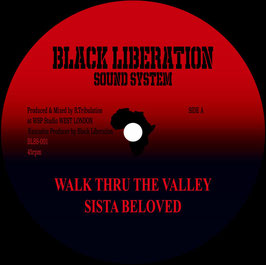 Sista Beloved - Walk Thru The Valley | 7" Black Liberation