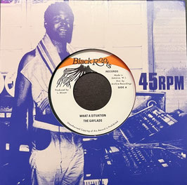 The Gaylads - What A Situation | 7" Black Roots