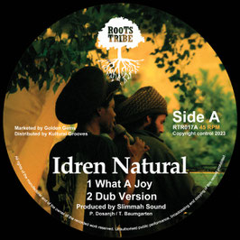 Idren Natural - What A Joy | 12" Roots Tribe
