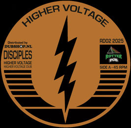 Disciples - Higher Voltage / Toxic Hazard | 12" RotterDub
