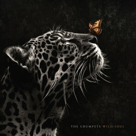 PREORDER «WILD SOULD» (VINYL)