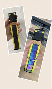 Halsband Chamäleon 4cm verstellbar von 40cm-67cm mit Klick Verschluss