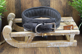 Massives Leder Hundehalsband  schwarz gepolstert