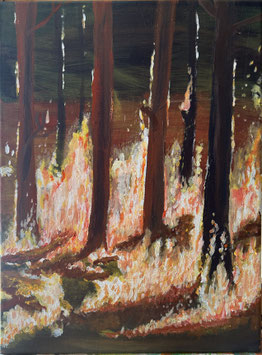Die vier Elemente - Feuer