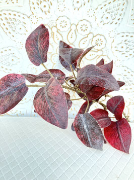 herbstlicher Blattzweig