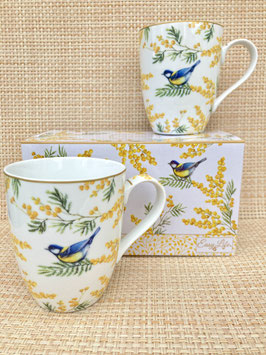 2 Becher'Mimosa'