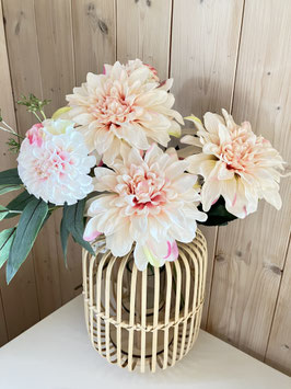 Dahlie, weiches peach-rosé