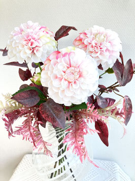 Pompondahlie, weiß/rosé