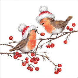 Serviette " Robins"