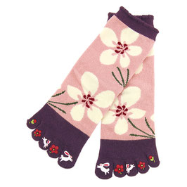 *TABI SOCKS 5 TOES WOMEN'S: ICHIRINSO