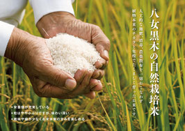 自然栽培米（5kg）