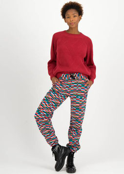 Coole Joggerhose - Blutsgeschwister