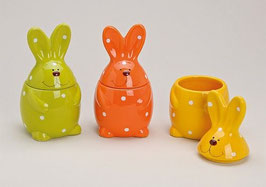 DOSE HASE