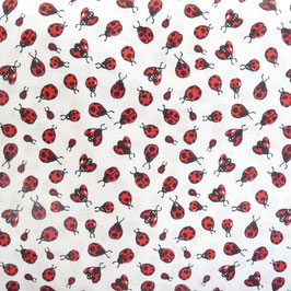 Coton Coccinelles - STOF Ladybird