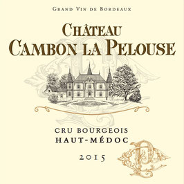 2016 Château Cambon la Pelouse