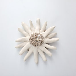 Fleur blanche