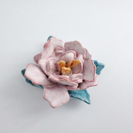 Pivoine