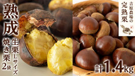 生栗１ｋｇ＆焼き栗2袋