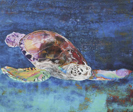 Schildkröte im türkisblauen Meer