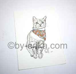 chat cool dessin original