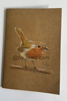 Rouge gorge 1, cahier à dessins