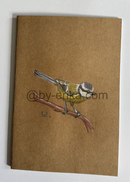 Mésange bleue 1, cahier à dessins