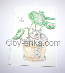 chat plante dessin original
