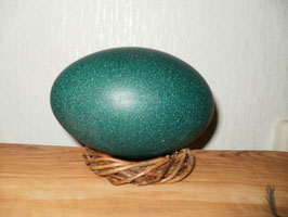 EMU-Ei frisch