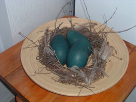 EMU-Ei leer